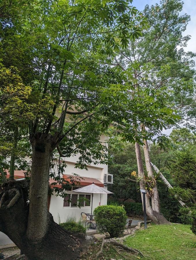 Flying Villa Nantou Экстерьер фото
